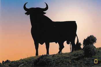 EL SIMBÓLICO TORO DE OSBORNE